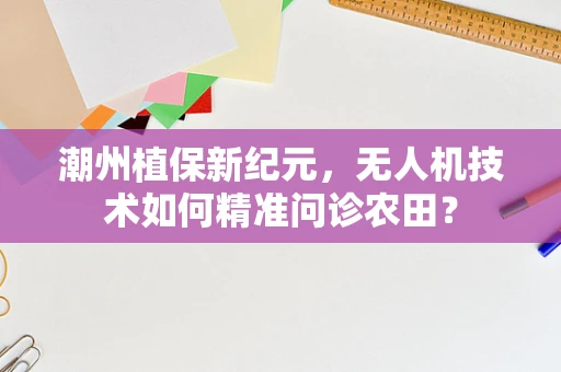 潮州植保新纪元，无人机技术如何精准问诊农田？