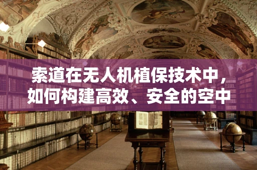 索道在无人机植保技术中，如何构建高效、安全的空中桥梁？