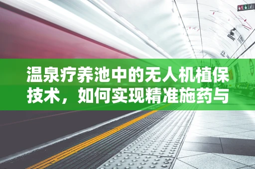 温泉疗养池中的无人机植保技术，如何实现精准施药与生态平衡？