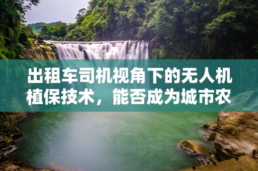 出租车司机视角下的无人机植保技术，能否成为城市农业的新兴力量？