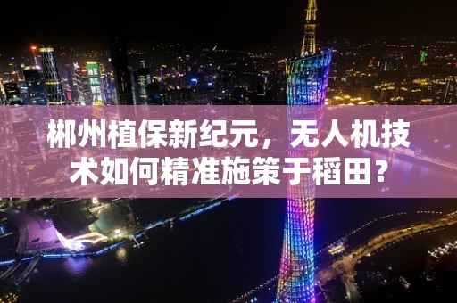 郴州植保新纪元，无人机技术如何精准施策于稻田？