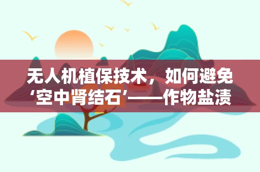 无人机植保技术，如何避免‘空中肾结石’——作物盐渍化现象？