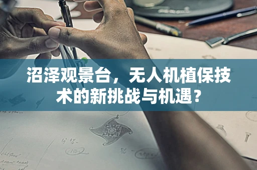 沼泽观景台，无人机植保技术的新挑战与机遇？
