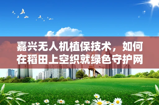 嘉兴无人机植保技术，如何在稻田上空织就绿色守护网？
