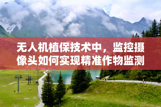 无人机植保技术中，监控摄像头如何实现精准作物监测？