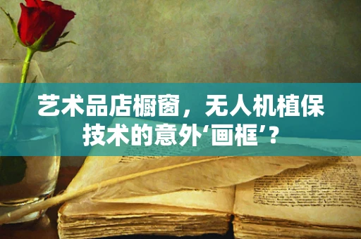艺术品店橱窗，无人机植保技术的意外‘画框’？