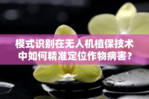 模式识别在无人机植保技术中如何精准定位作物病害？