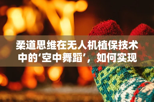 柔道思维在无人机植保技术中的‘空中舞蹈’，如何实现精准而灵活的作业？