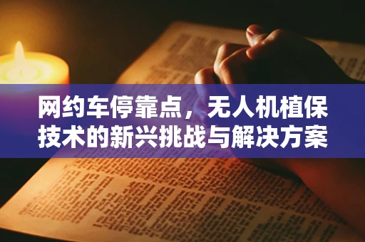 网约车停靠点，无人机植保技术的新兴挑战与解决方案