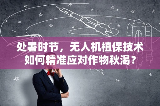处暑时节，无人机植保技术如何精准应对作物秋渴？