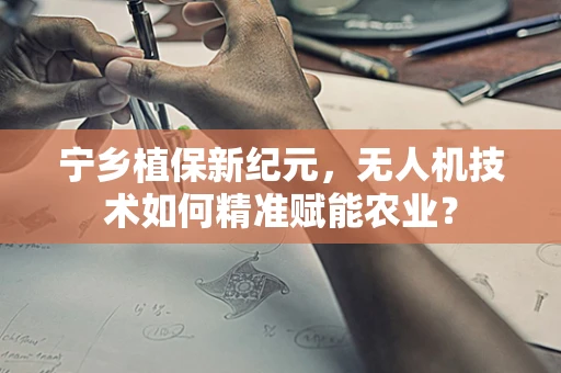 宁乡植保新纪元，无人机技术如何精准赋能农业？