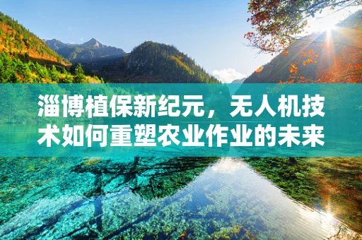 淄博植保新纪元，无人机技术如何重塑农业作业的未来？