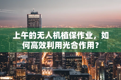 上午的无人机植保作业，如何高效利用光合作用？
