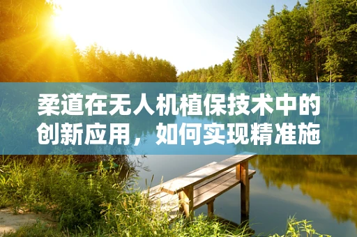 柔道在无人机植保技术中的创新应用，如何实现精准施药与作物保护的和谐共舞？