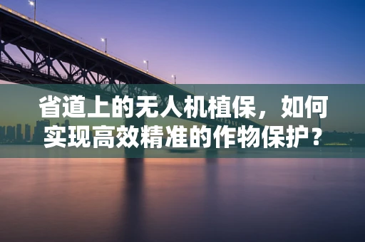 省道上的无人机植保，如何实现高效精准的作物保护？