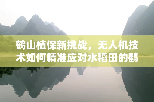 鹤山植保新挑战，无人机技术如何精准应对水稻田的鹤群干扰？