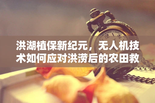 洪湖植保新纪元，无人机技术如何应对洪涝后的农田救赎？