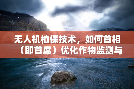 无人机植保技术，如何首相（即首席）优化作物监测与喷洒？