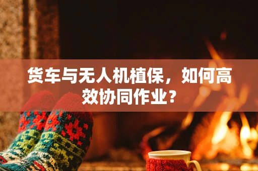 货车与无人机植保，如何高效协同作业？