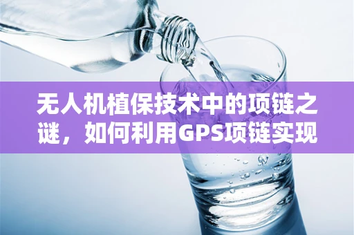无人机植保技术中的项链之谜，如何利用GPS项链实现精准作业？