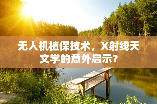 无人机植保技术，X射线天文学的意外启示？