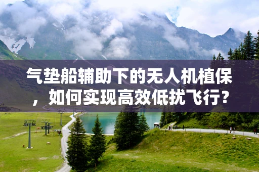 气垫船辅助下的无人机植保，如何实现高效低扰飞行？