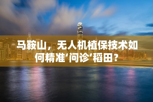 马鞍山，无人机植保技术如何精准‘问诊’稻田？