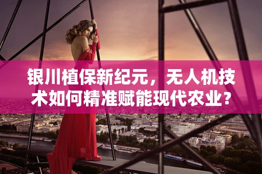银川植保新纪元，无人机技术如何精准赋能现代农业？