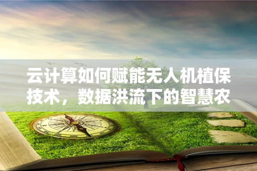 云计算如何赋能无人机植保技术，数据洪流下的智慧农业新篇章？