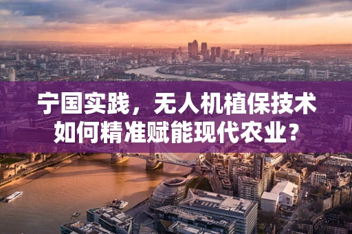 宁国实践，无人机植保技术如何精准赋能现代农业？