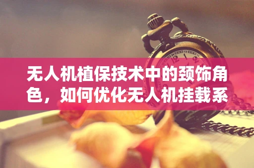 无人机植保技术中的颈饰角色，如何优化无人机挂载系统以提升农药喷洒效率？