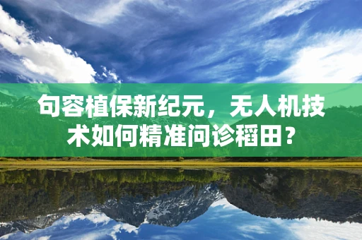 句容植保新纪元，无人机技术如何精准问诊稻田？