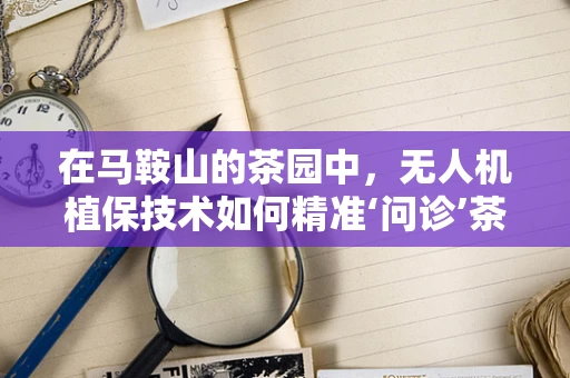 在马鞍山的茶园中，无人机植保技术如何精准‘问诊’茶树健康？