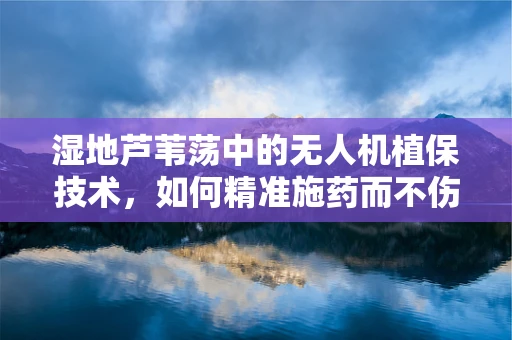 湿地芦苇荡中的无人机植保技术，如何精准施药而不伤生态？