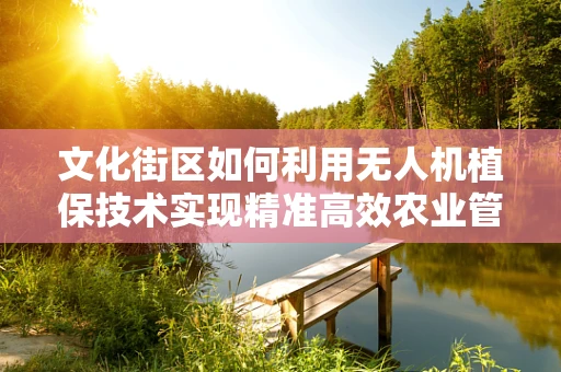 文化街区如何利用无人机植保技术实现精准高效农业管理？