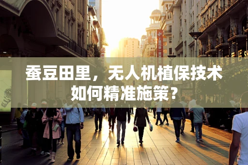 蚕豆田里，无人机植保技术如何精准施策？