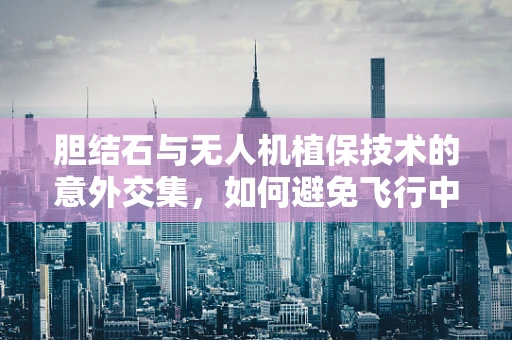 胆结石与无人机植保技术的意外交集，如何避免飞行中的结石风险？
