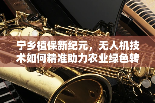 宁乡植保新纪元，无人机技术如何精准助力农业绿色转型？