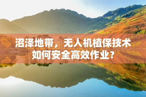 沼泽地带，无人机植保技术如何安全高效作业？