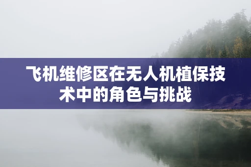 飞机维修区在无人机植保技术中的角色与挑战