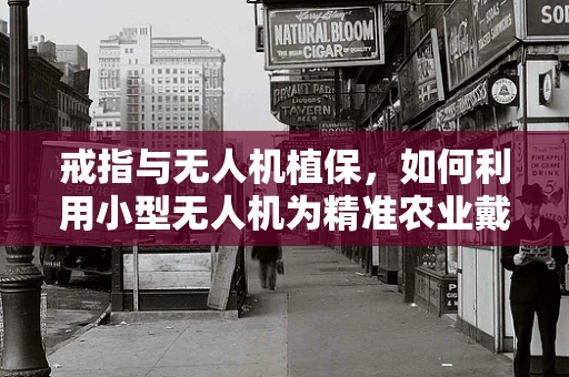 戒指与无人机植保，如何利用小型无人机为精准农业戴上‘智能戒指’？