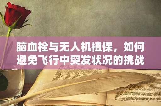 脑血栓与无人机植保，如何避免飞行中突发状况的挑战？