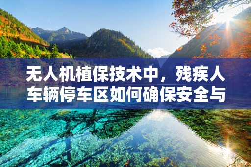 无人机植保技术中，残疾人车辆停车区如何确保安全与效率？