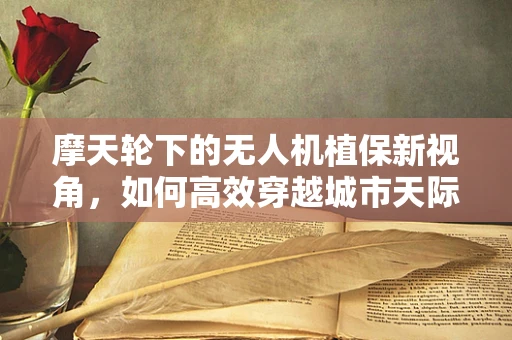摩天轮下的无人机植保新视角，如何高效穿越城市天际线？