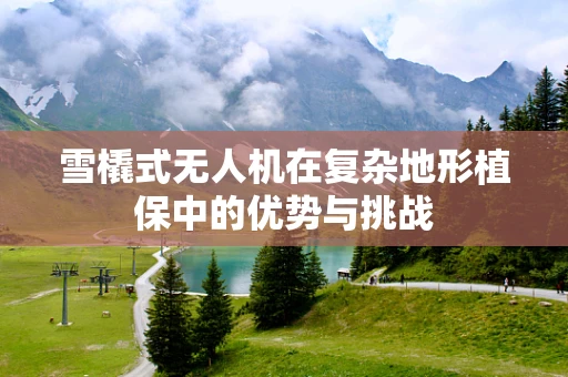 雪橇式无人机在复杂地形植保中的优势与挑战