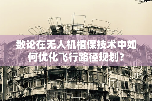 数论在无人机植保技术中如何优化飞行路径规划？