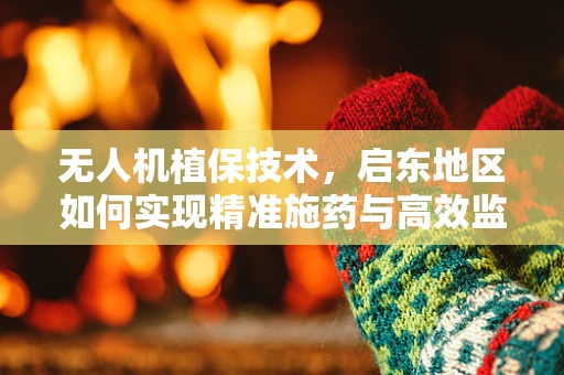无人机植保技术，启东地区如何实现精准施药与高效监测？