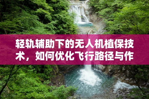 轻轨辅助下的无人机植保技术，如何优化飞行路径与作物覆盖效率？