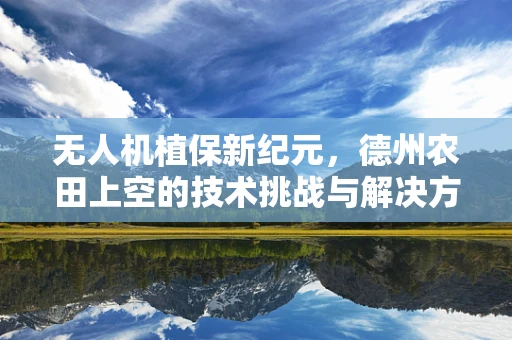 无人机植保新纪元，德州农田上空的技术挑战与解决方案