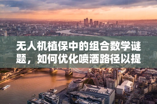 无人机植保中的组合数学谜题，如何优化喷洒路径以提升效率？